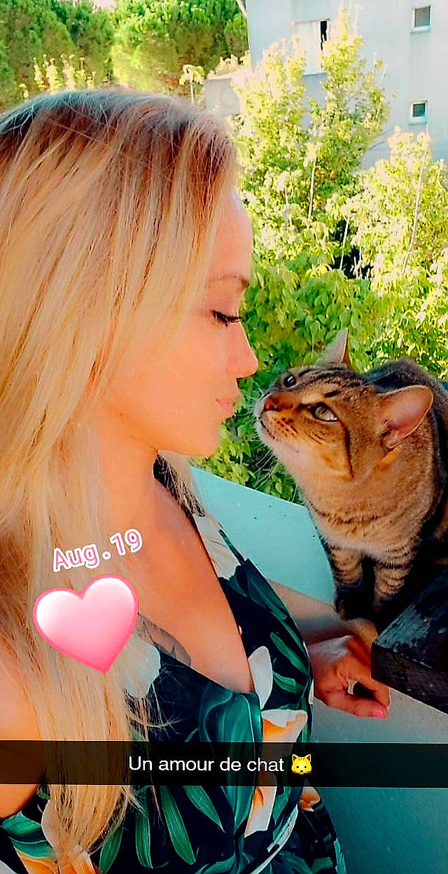 Chico a rejoint le concours — aidez-le/la à gagner de superbes lots ! carnivore, cat, ear, fawn, felidae, kitten, organism, photo_caption, photography, small_to_medium_sized_cats, smile, whiskers