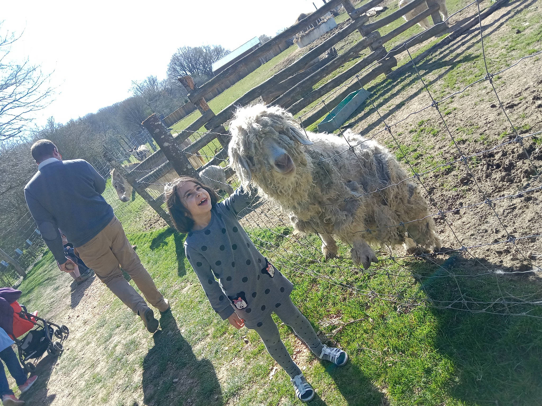 Mélodie a rejoint le concours — aidez-le/la à gagner de superbes lots ! backpack, fun, fur, grass, grassland, joy, landscape, leisure, livestock, luggage_and_bags, pasture, people_in_nature, person, plant, recreation, sheep, shorts, sky, soil, sporting_group