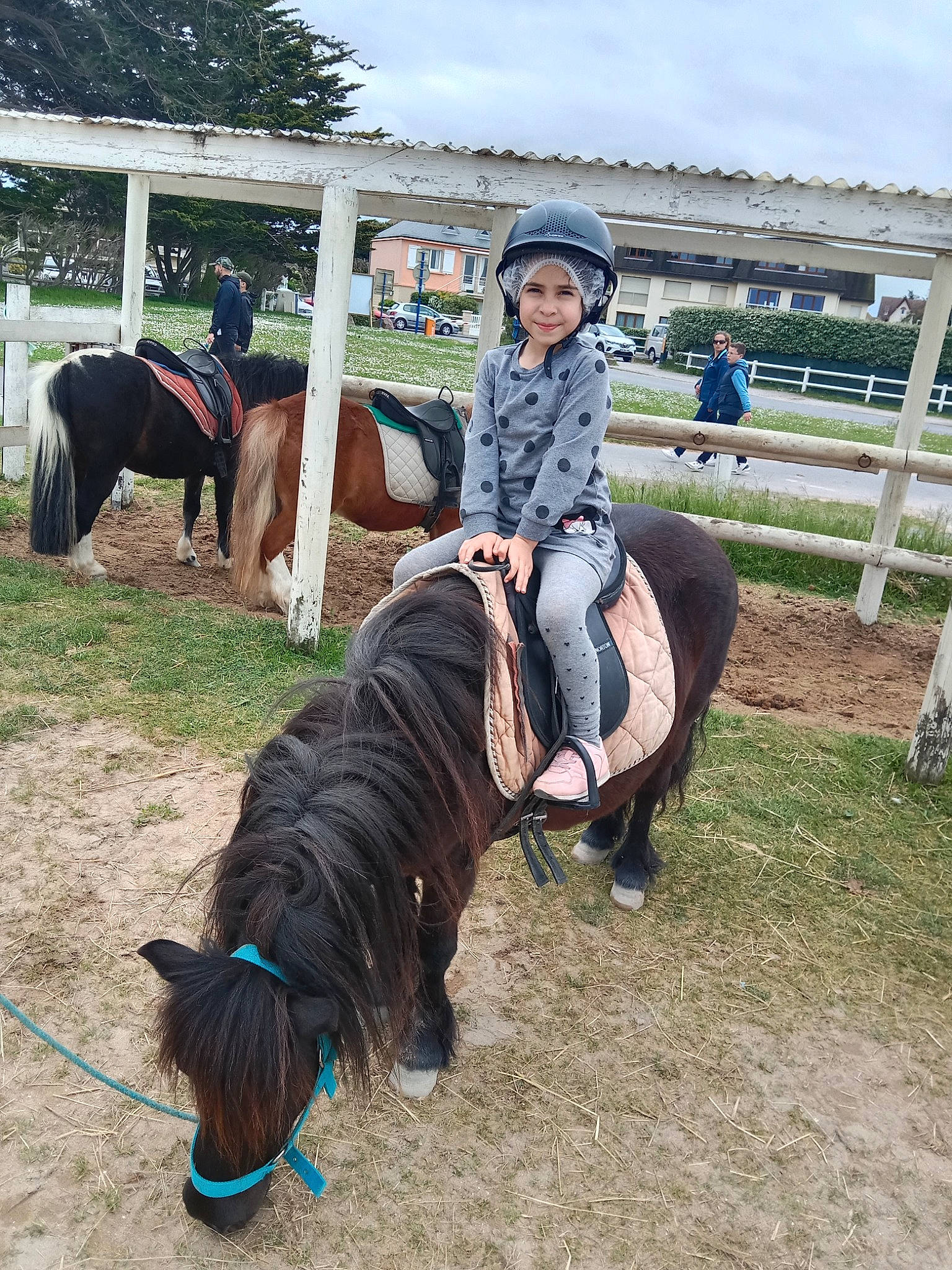 Mélodie a rejoint le concours — aidez-le/la à gagner de superbes lots ! bit, bridle, cloud, equestrian_sport, equestrianism, grass, hat, headwear, horse, horse_supplies, horse_tack, joy, landscape, livestock, pack_animal, person, plant, recreation, rein, saddle