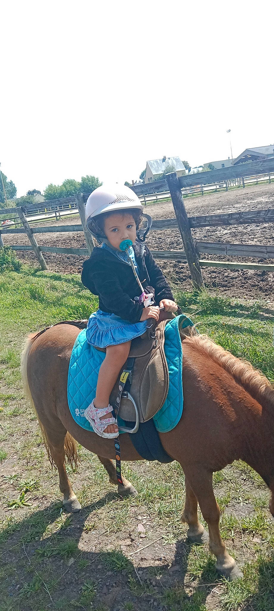 Maëlle a rejoint le concours — aidez-le/la à gagner de superbes lots ! bit, bridle, equestrian_helmet, equestrian_sport, equestrianism, helmet, horse, horse_supplies, horse_tack, landscape, mammal, person, plant, recreation, rein, saddle, sky, sports_equipment, toddler, vertebrate