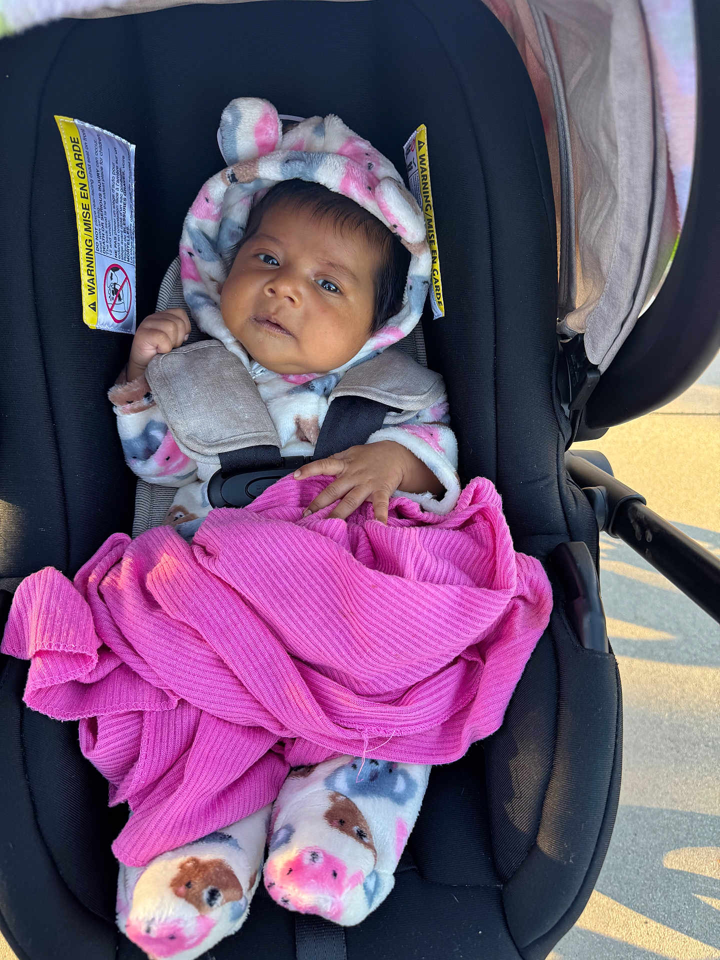 Aliyah joined the competition — help win amazing prizes! baby, infant, car_seat, blanket, onesie, fleece, animal_print, pink, black, straps, clothing, face, person, child, outdoor, sunlight, seat, cute, bundle, expression