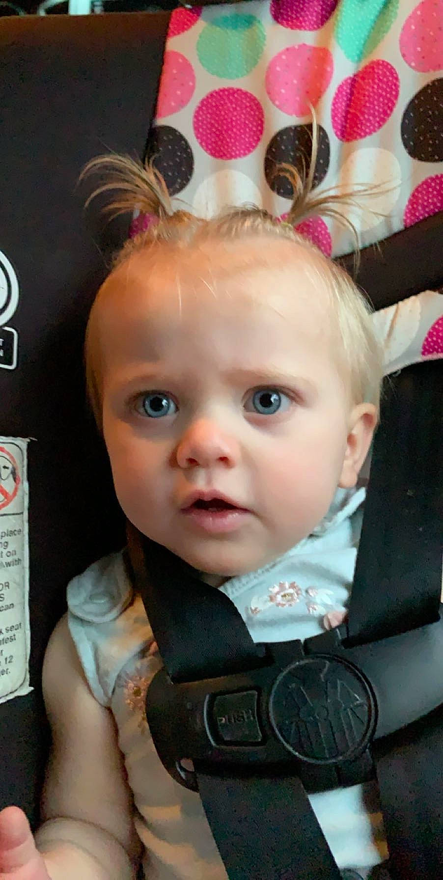 Anniston is registered to the contest to win money with this photo: baby, cheek, child, child_model, ear, eye, eyebrow, face, forehead, hair, hair_accessory, head, iris, lip, nose, organ, person, photography, pink, product