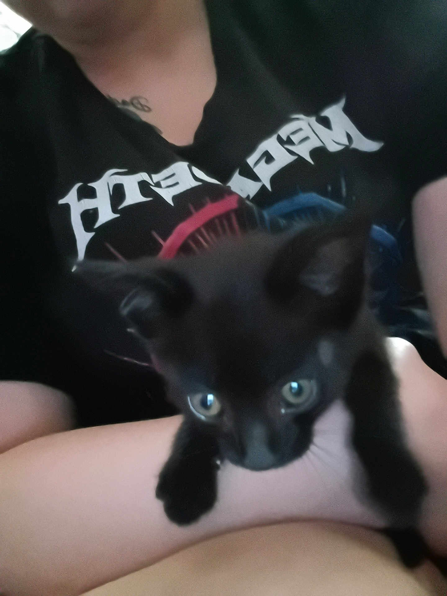 Shadow joined the competition — help win amazing prizes! kitten, black_cat, animal, pet, person, tshirt, metallica, closeup, indoor, holding, cute, feline, young, small, arms, clothing, eyes, face, blur, fur