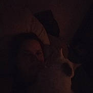 Fritz is registered to the contest to win money with this photo: animal, bed, blur, cat, close_up, cozy, dark, face_not_clear, feline, home, indoor, low_light, night, person, pet, pillow, quiet, rest, shadow, sleeping