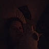 animal, bed, blur, cat, close_up, cozy, dark, face_not_clear, feline, home, indoor, low_light, night, person, pet, pillow, quiet, rest, shadow, sleeping