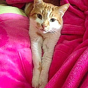Mr Missy joined the competition — help win amazing prizes!
