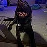 dog, black_dog, indoor, carpet, panting, shadow, television, sofa, cushion, pet_tag, happy, canine, living_room, floor, furniture, relaxed, animal, home, smiling, domestic