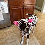 dog, costume, cow_pattern, indoor, kitchen, tiled_floor, wooden_cabinet, refrigerator, magnet, drawing, pet, animal, curious, tail, pink_ears, black_and_white, flooring, canine, domestic, cute