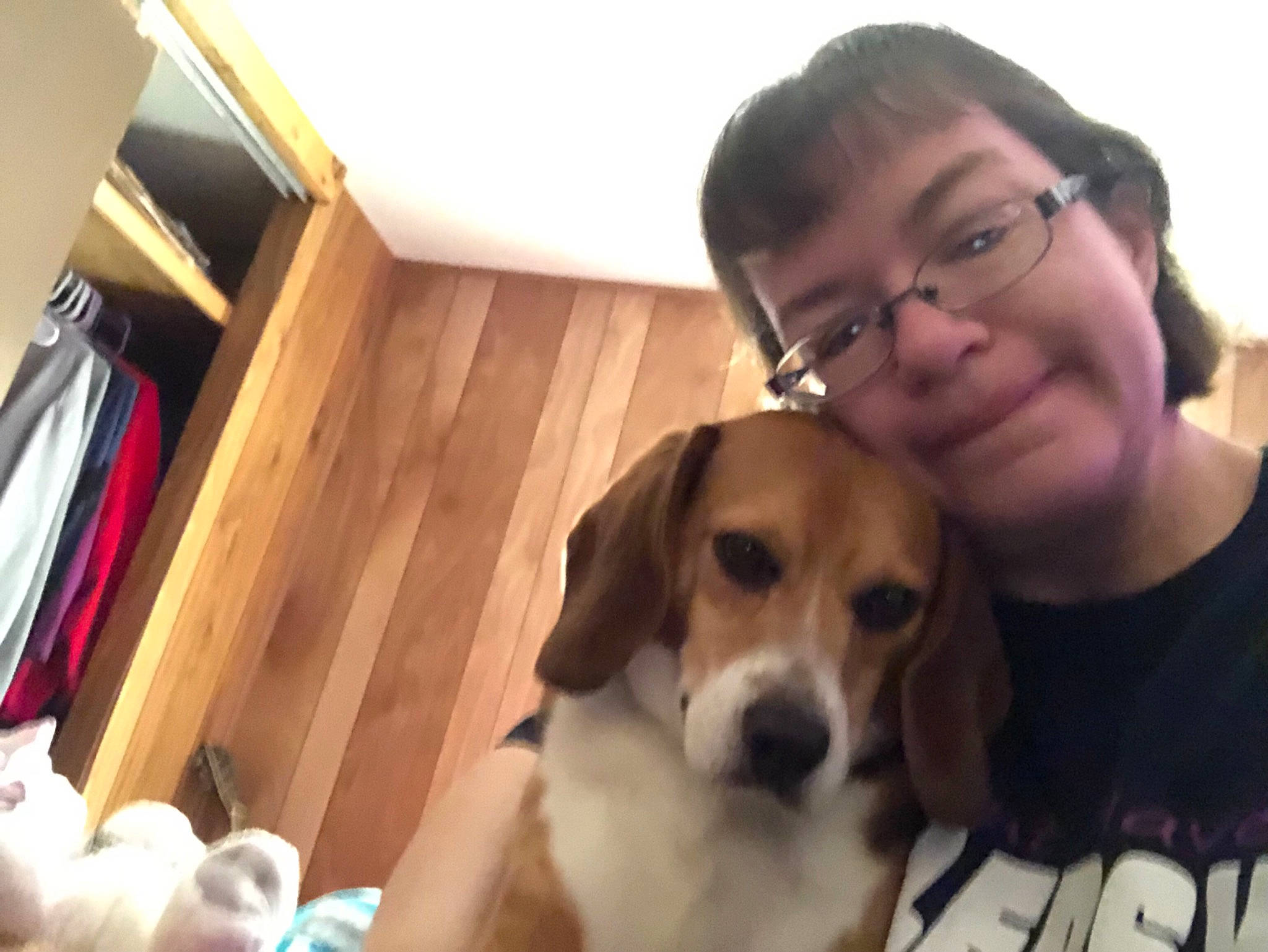 Sergie joined the competition — help win amazing prizes! beagle, beagle_harrier, canidae, carnivore, comfort, companion_dog, dog, dog_breed, eyewear, finnish_hound, football, fur, glasses, hound, puppy_love, scent_hound, sporting_group, toy_dog, vision_care, whiskers