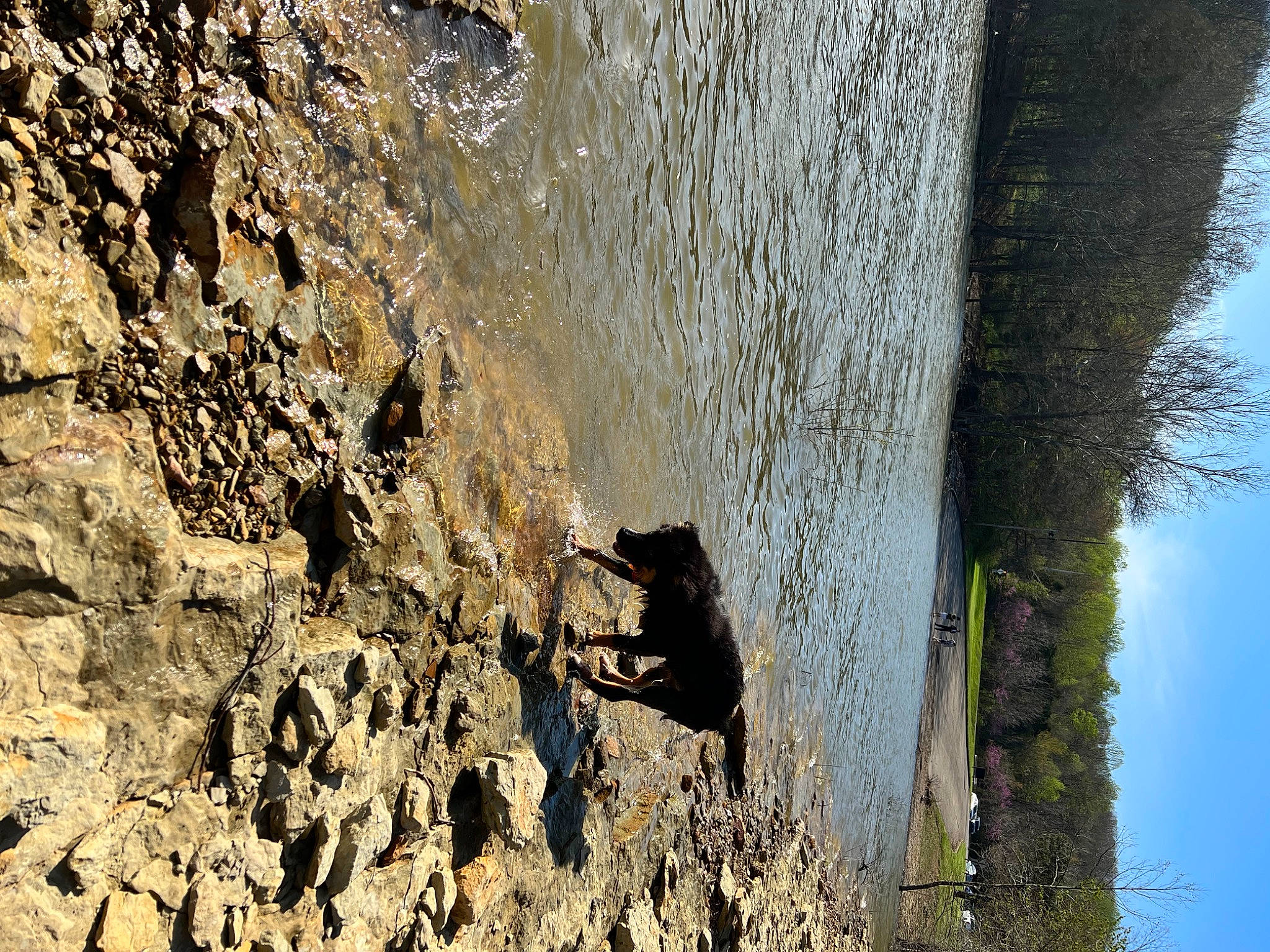 Journey joined the competition — help win amazing prizes! bedrock, formation, geological_phenomenon, geology, grass, lake, landscape, outcrop, plant, rock, sky, soil, terrain, tree, trunk, wall, water, watercourse, wood, woody_plant