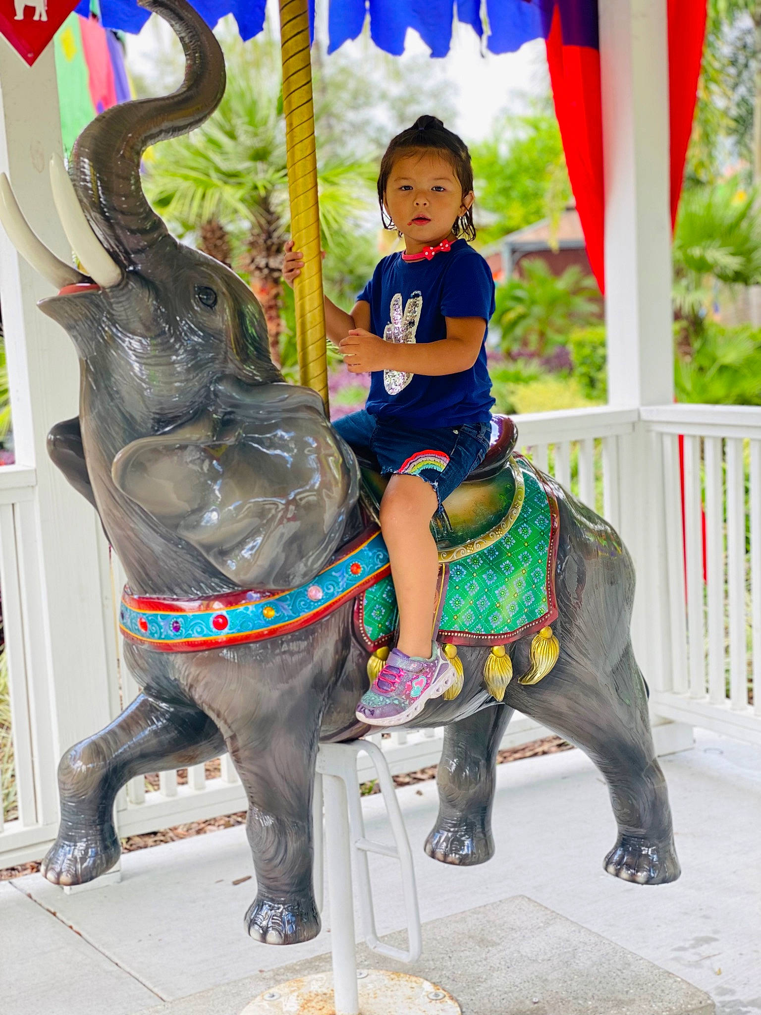 Josie joined the competition — help win amazing prizes! amusement_park, amusement_ride, bridle, carousel, child, event, fun, happy, horse, horse_tack, leisure, nonbuilding_structure, organism, pack_animal, person, plant, recreation, toddler, toy, vacation