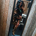 Tiffany L.