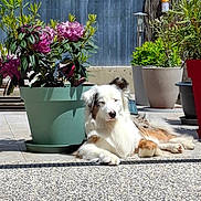 Udo a rejoint le concours — aidez-le/la à gagner de superbes lots !