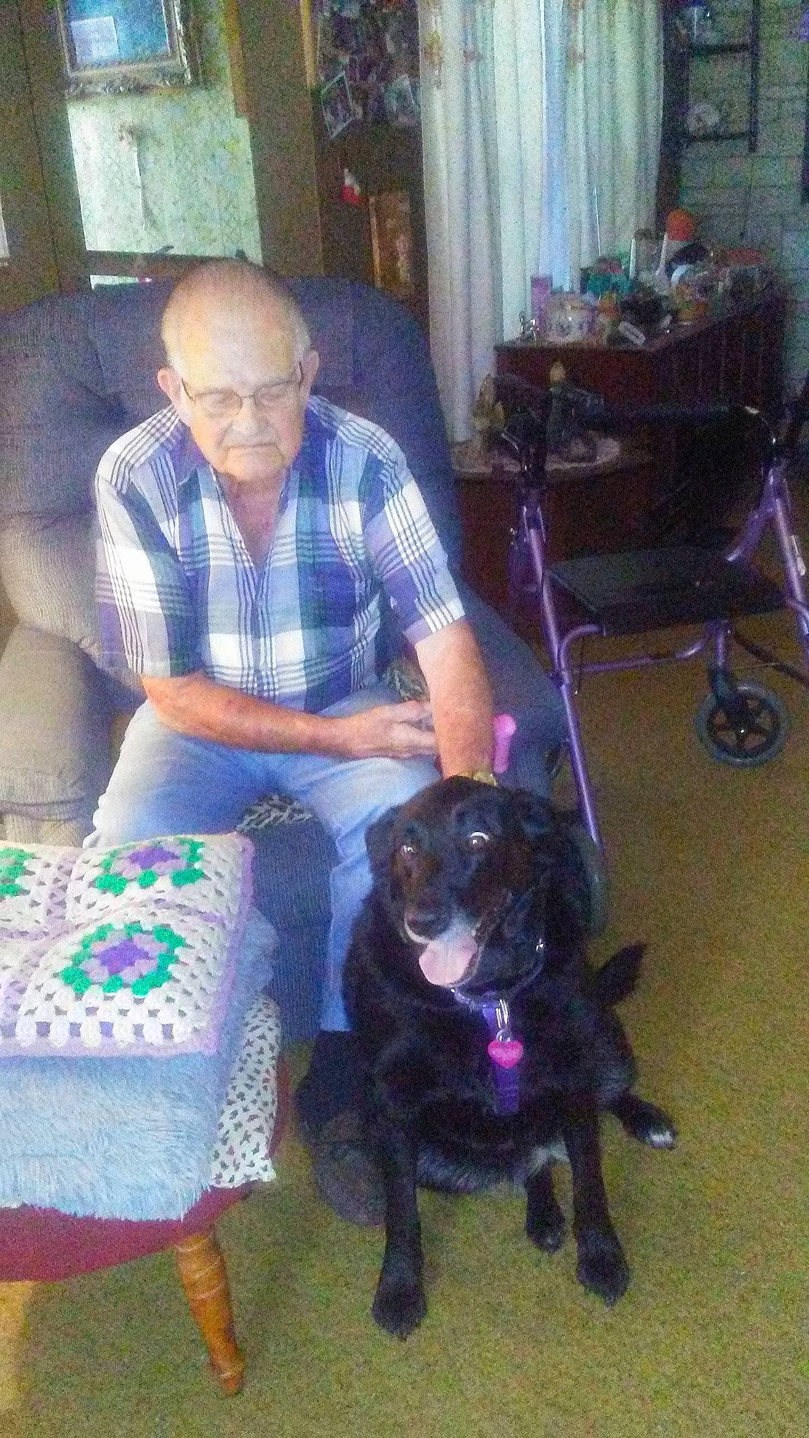 Mila is registered to the contest to win money with this photo: canidae, carnivore, dog, dog_breed, guard_dog, joy, person, rottweiler, sporting_group