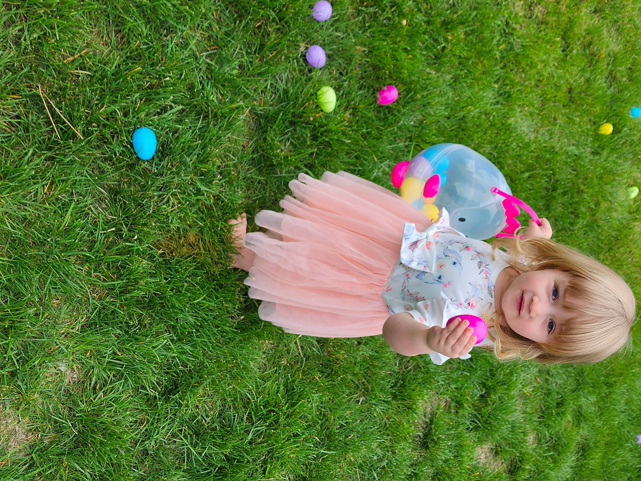 Kyleia is registered to the contest to win money with this photo: baby_toddler_clothing, event, fun, garden, grass, grass_family, grassland, happy, lawn, leisure, liquid_bubble, magenta, meadow, party_supply, people_in_nature, person, petal, plant, play, toddler