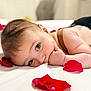 baby, infant, face, hand, skin, eye, red_rose_petals, lying_down, bed, indoors, close_up, cute, soft_light, portrait, peaceful, resting, newborn, human, sleepy, toddler