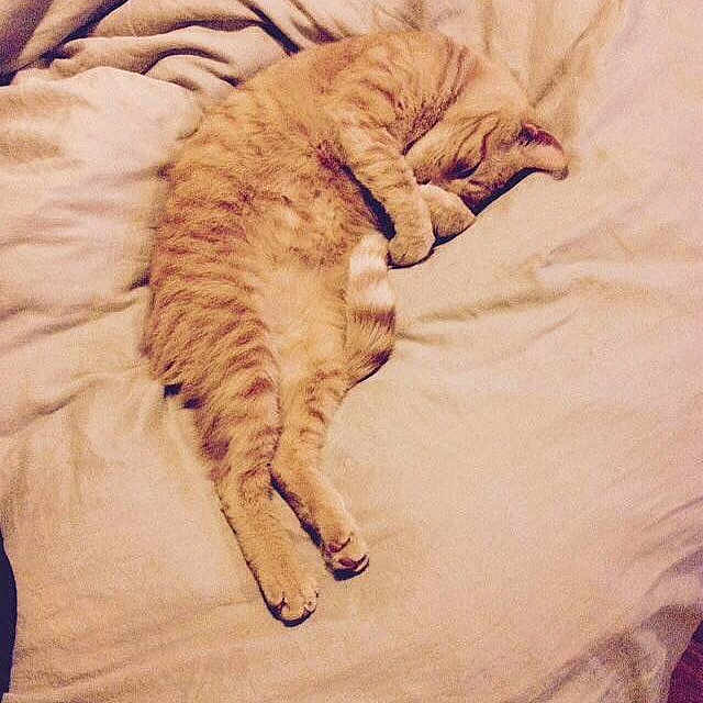 Dadda Boy is registered to the contest to win money with this photo: