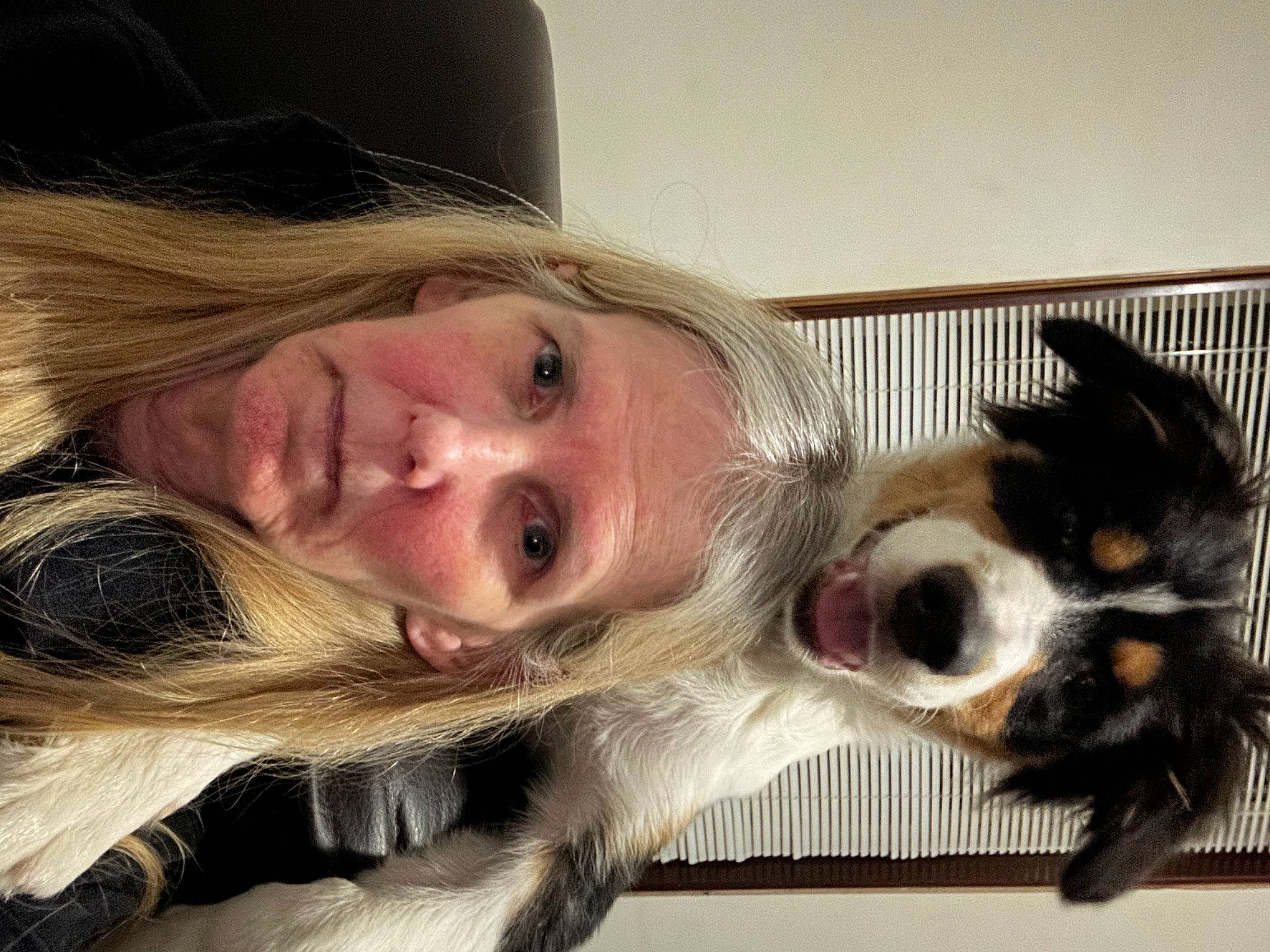 Bodie is registered to the contest to win money with this photo: carnivore, comfort, companion_dog, dog, dog_breed, ear, eyelash, fawn, fur, iris, jaw, nose, pet_supply, smile, snout, sporting_group, sunglasses, tree, whiskers, working_animal