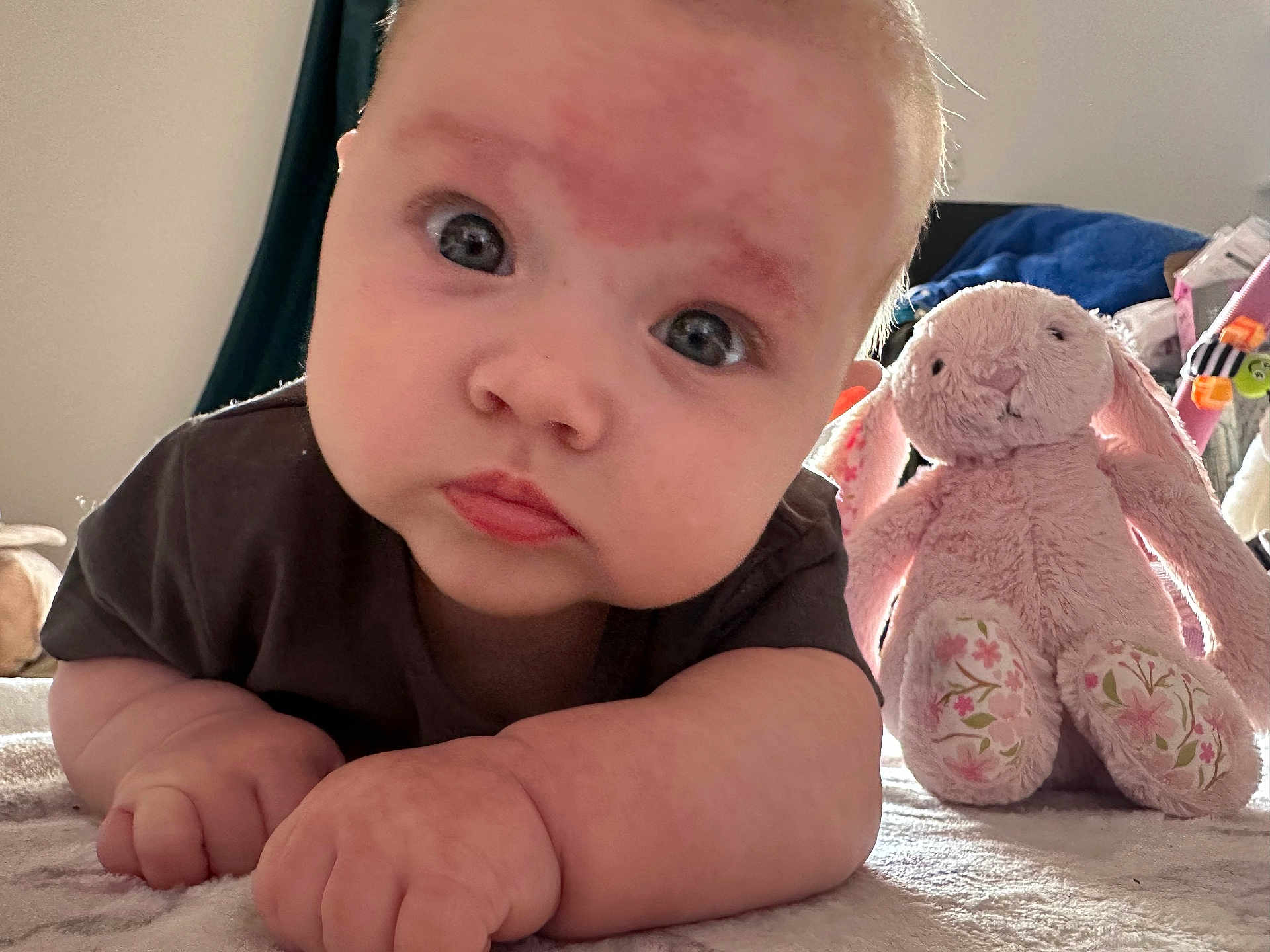Aria joined the competition — help win amazing prizes! baby, infant, face, eyes, plush_toy, stuffed_animal, bunny, soft_toy, lying_down, close_up, child, indoors, blanket, cute, expression, skin, hand, toy, room, portrait