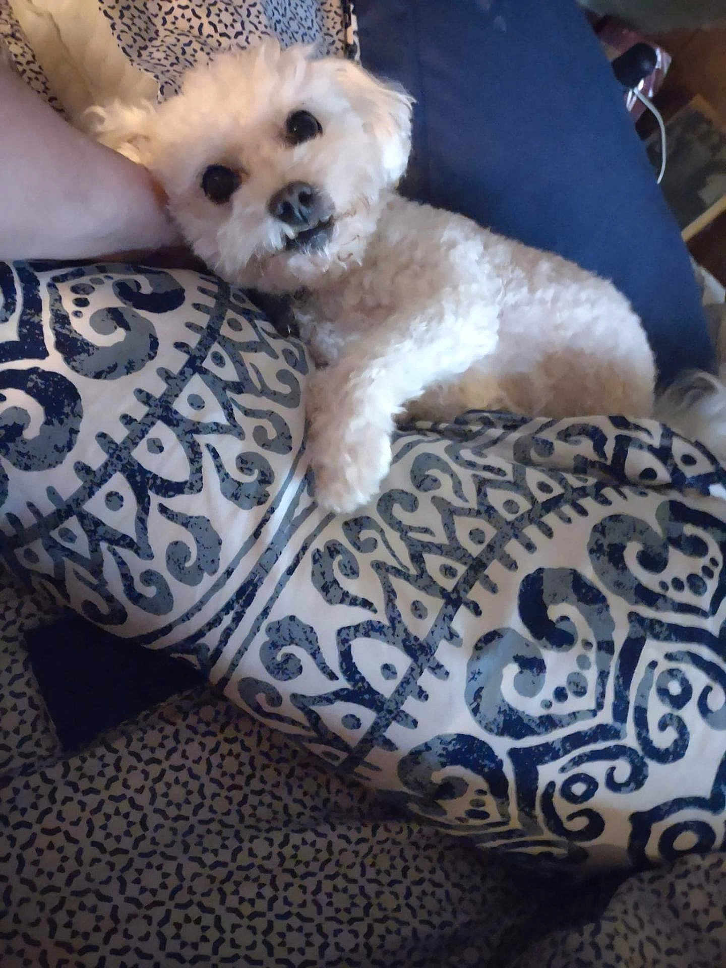 Nugget