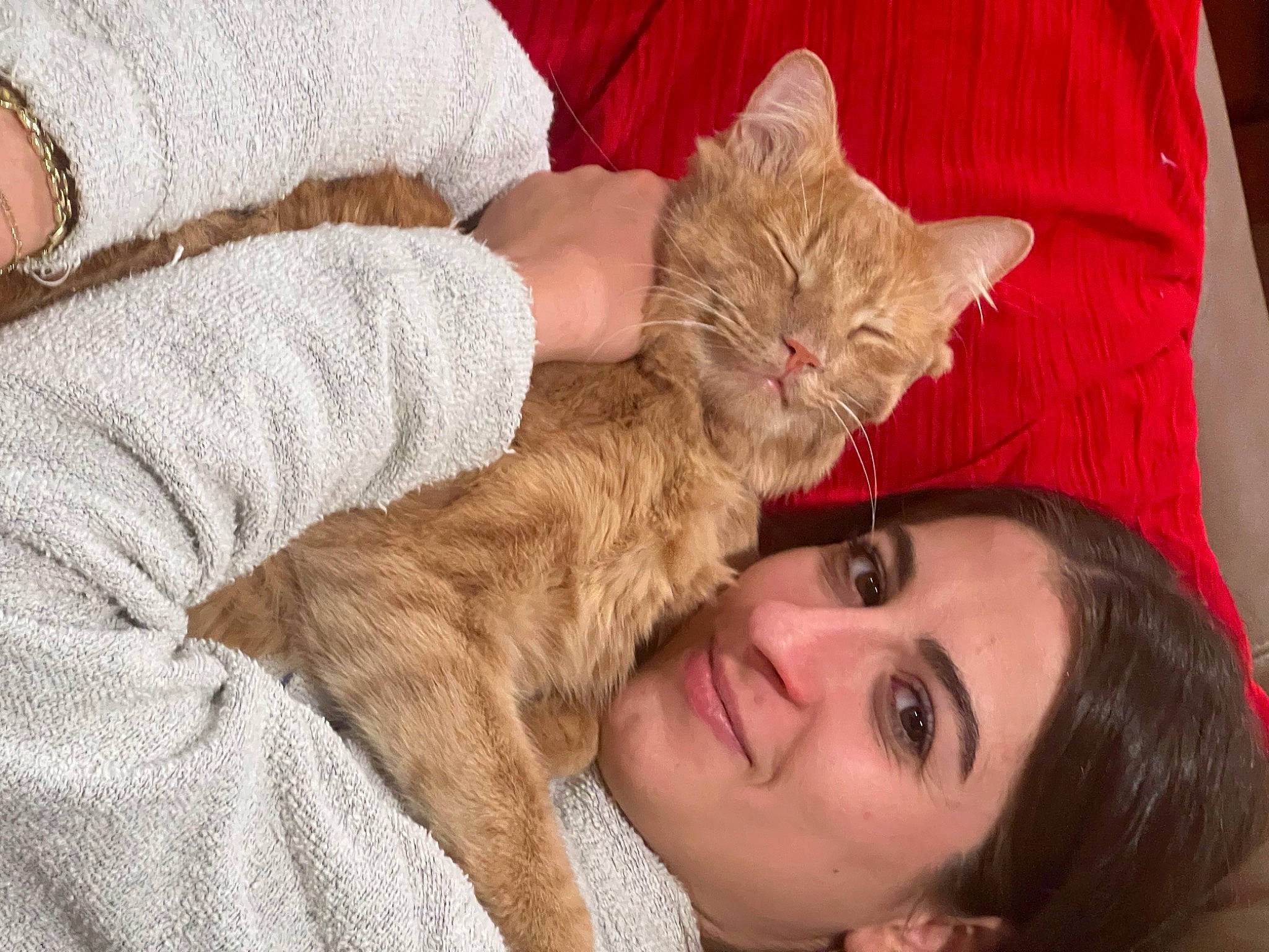 Kitty is registered to the contest to win money with this photo: carnivore, cat, child, comfort, domestic_short_haired_cat, ear, eyelash, fawn, felidae, finger, fur, gesture, happy, human, lap, nail, paw, selfie, small_to_medium_sized_cats, whiskers