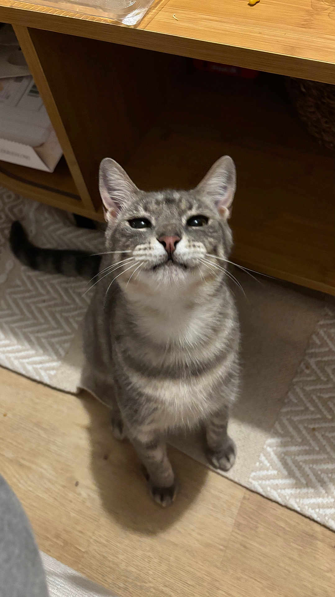 Ziya