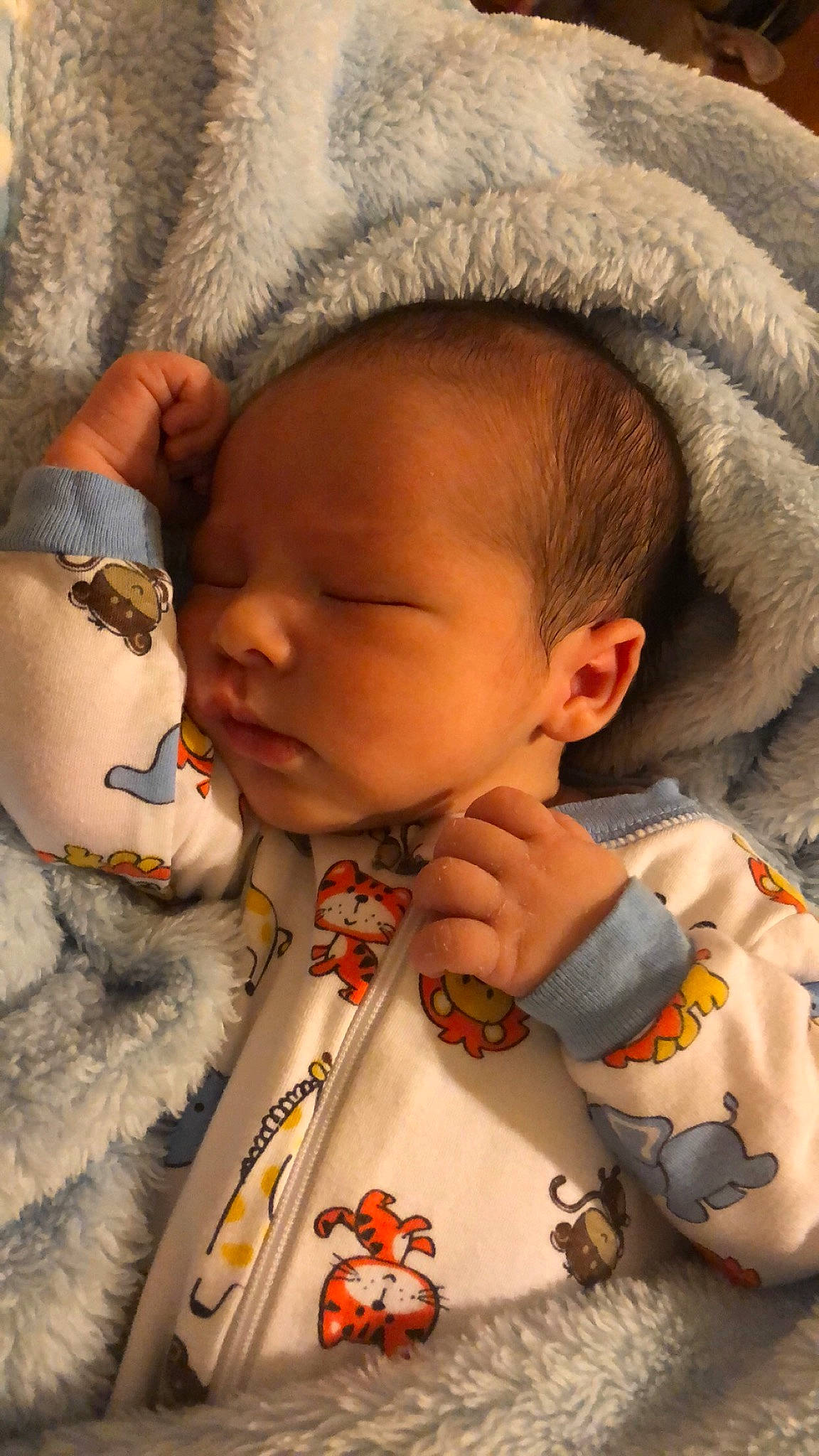 True is registered to the contest to win money with this photo: baby, baby_sleeping, bedtime, cheek, child, gesture, head, nap, nose, person, skin, sleep, toddler