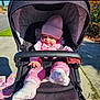 Malia joined the competition — help win amazing prizes! baby, beanie, casual, child, curious, cute, daytime, footwear, greenery, infant, nature, outdoor, park, pink_clothing, safety_bar, seat, sidewalk, socks, stroller, sunlight