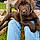 Tessy