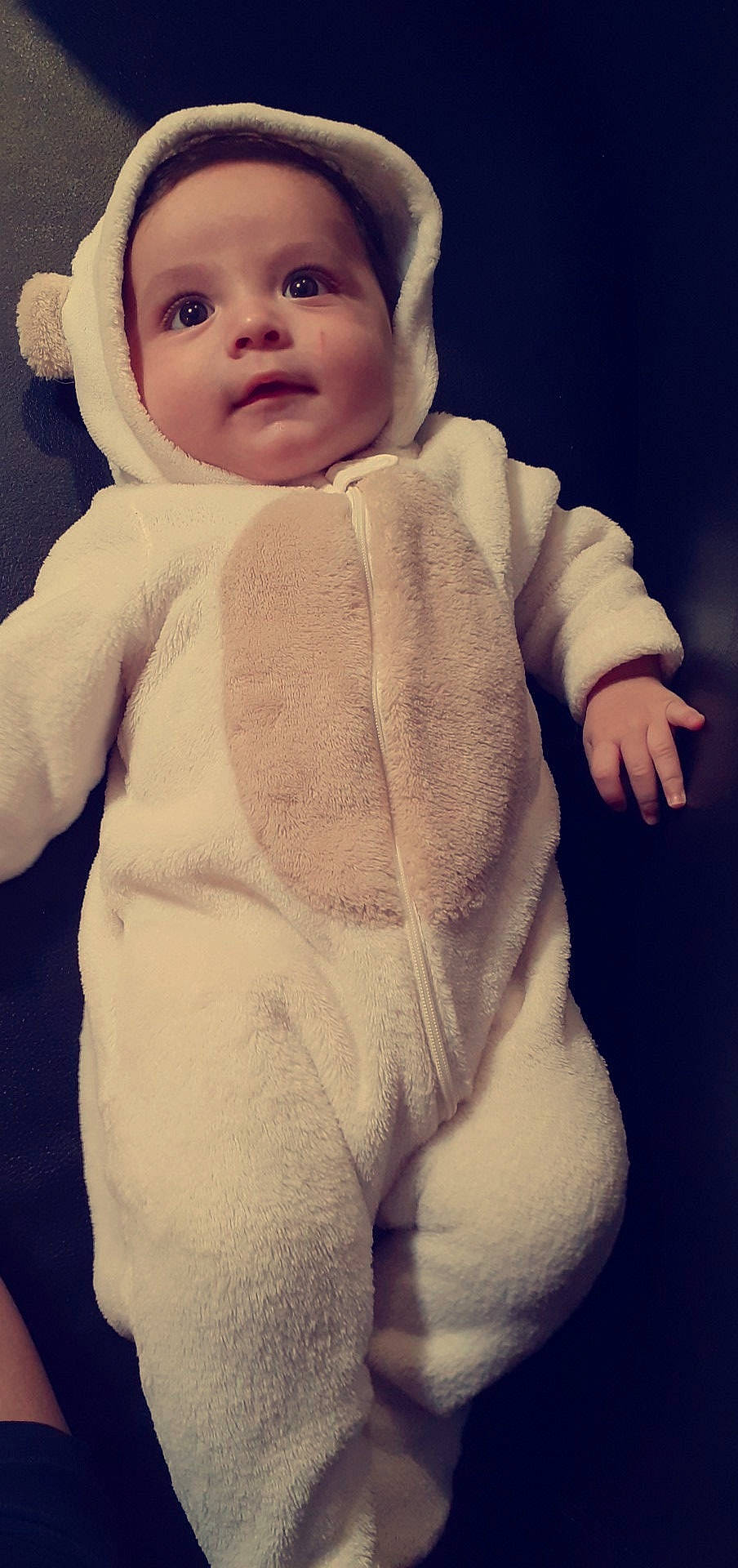 Nabil a rejoint le concours — aidez-le/la à gagner de superbes lots ! baby, baby_toddler_clothing, cheek, child, fur, person, toddler