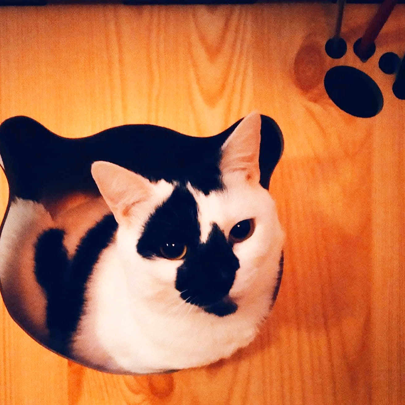 Meera
