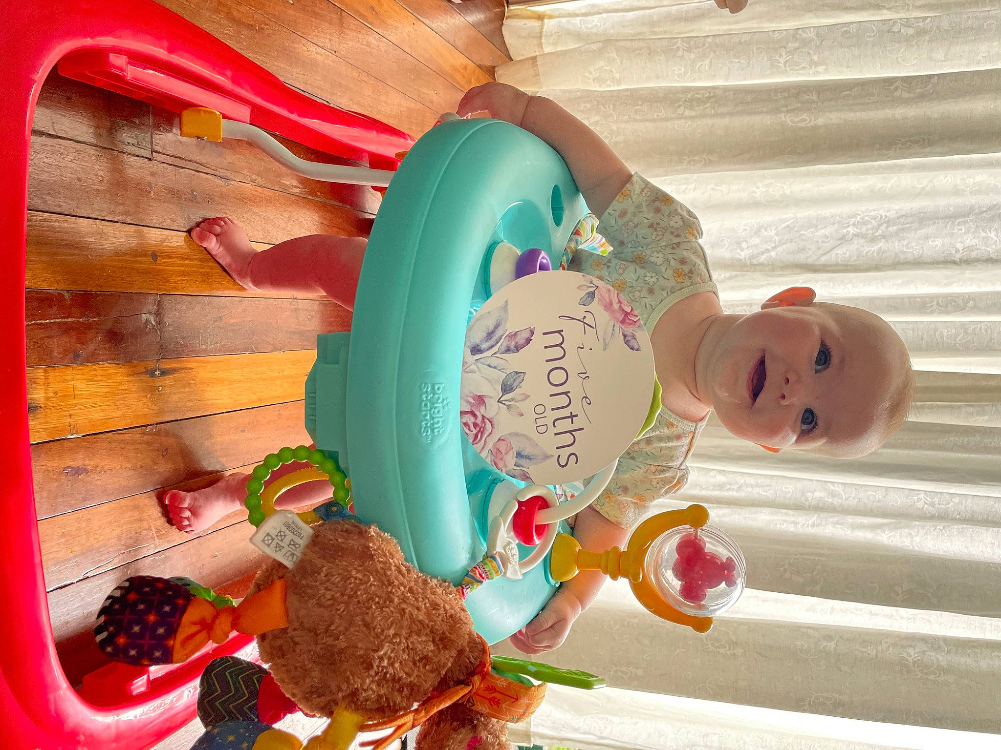 Evie is registered to the contest to win money with this photo: baby_products, baby_toys, child, fun, happy, person, pet_supply, room, stuffed_toy, sweetness, toy, wood