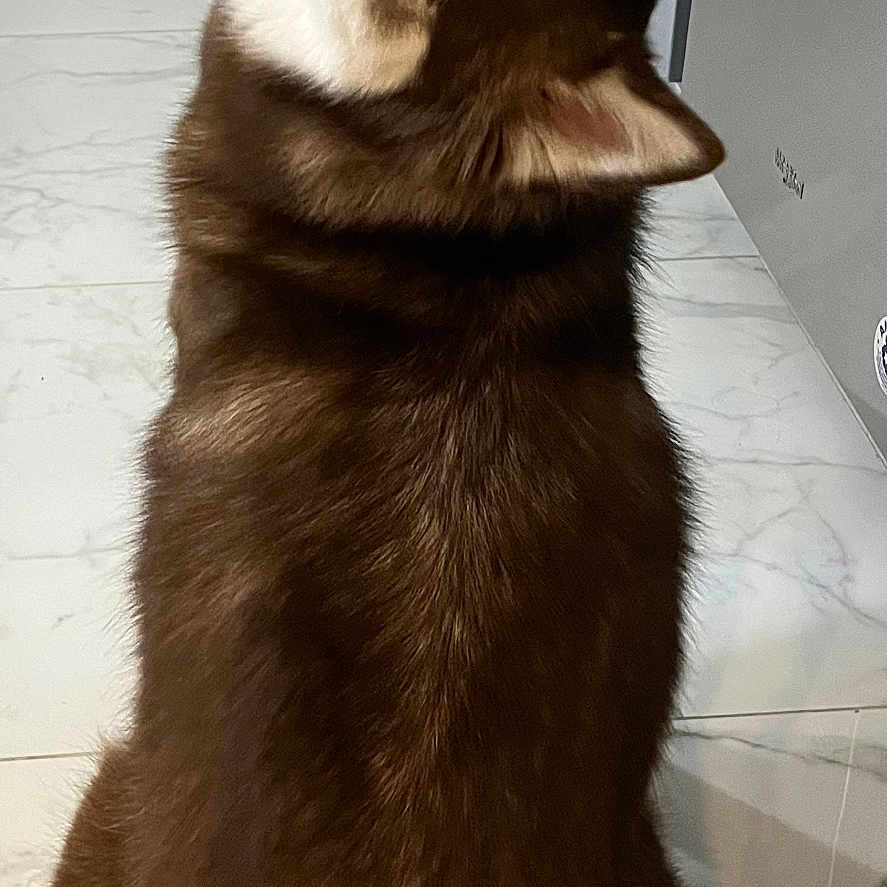 Frida