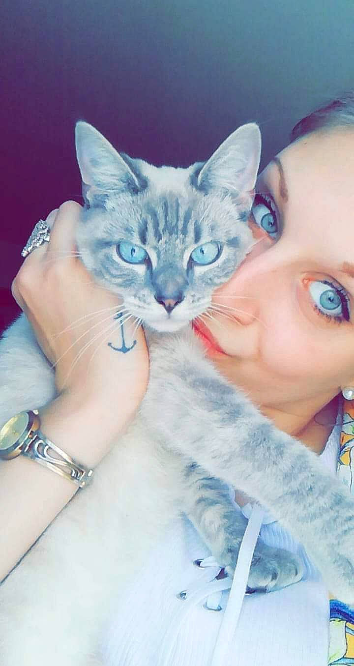 Olafe a rejoint le concours — aidez-le/la à gagner de superbes lots ! asian, blue, carnivore, cat, ear, eye, felidae, gesture, head, illustration, kitten, nose, ojos_azules, skin, small_to_medium_sized_cats, whiskers