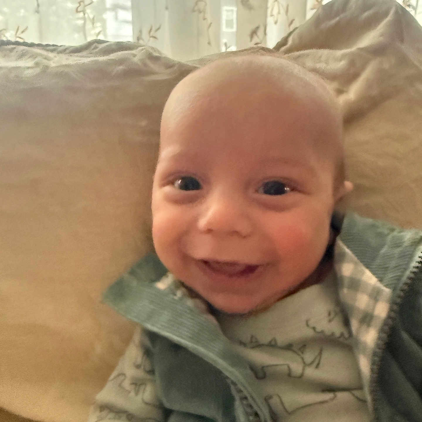 Silas is registered to the contest to win money with this photo: baby, child, closeup, clothing, comfortable, cozy, curtains, cushion, dinosaur_pattern, face, happy, indoor, infant, person, portrait, smiling, soft_lighting, vest, window, young