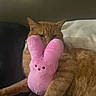animal, blanket, bunny, cat, couch, cozy, cute, feline, fur, indoor, laying_down, mammal, orange_tabby, pet, pink, plush_toy, relaxed, stuffed_animal, toy, whiskers