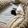 animal, bed, blanket, cat, closeup, comfort, cozy, furniture, furry, gray_cat, home, indoor, pet, pillow, relaxation, resting, sleeping, soft, striped_sheet, textile
