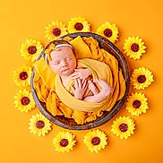 Zoey is registered to the contest to win money with this photo: newborn, baby, sleeping, yellow, sunflowers, blanket, headband, wooden_bowl, flower_arrangement, infant, cute, wrapped, soft, peaceful, portrait, studio, colorful, decorative, toddler, background