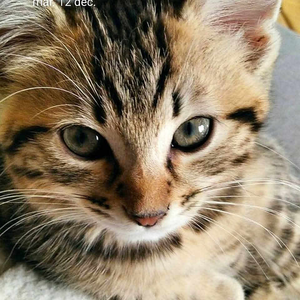 Billy