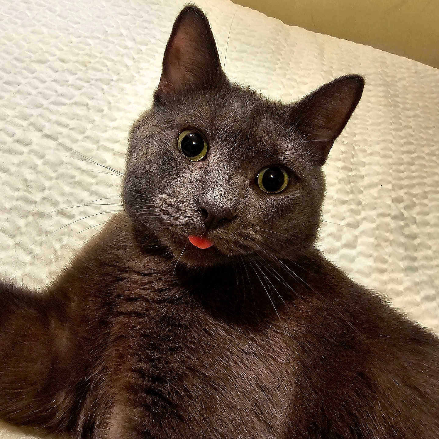 Peaches
