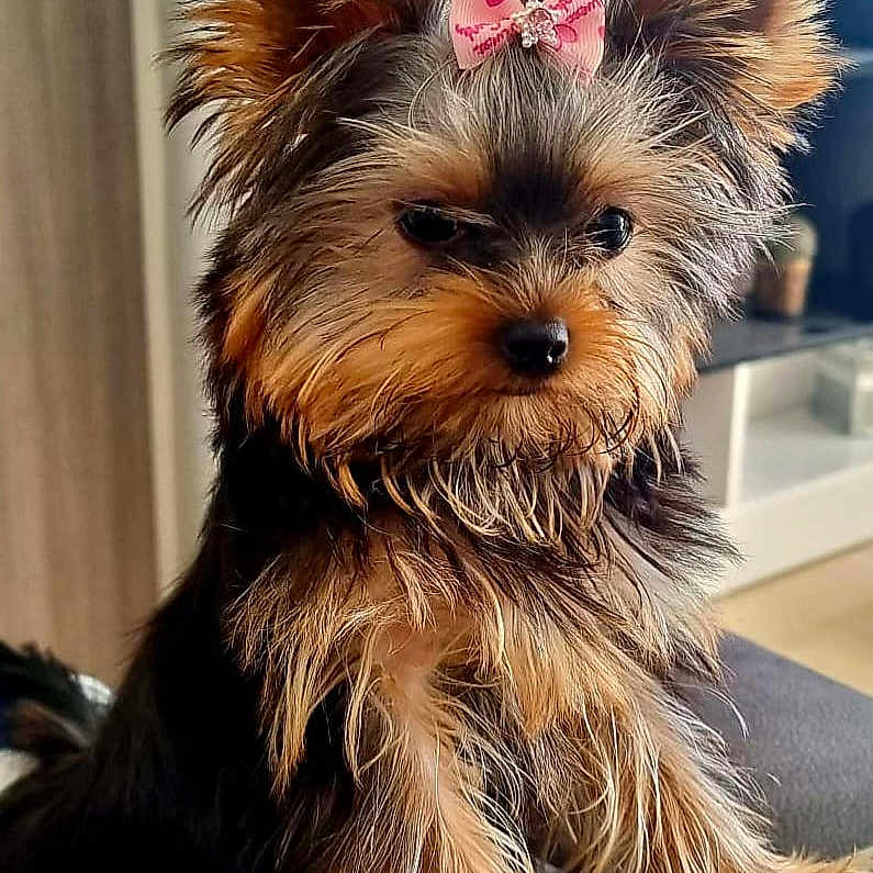 Cindy
