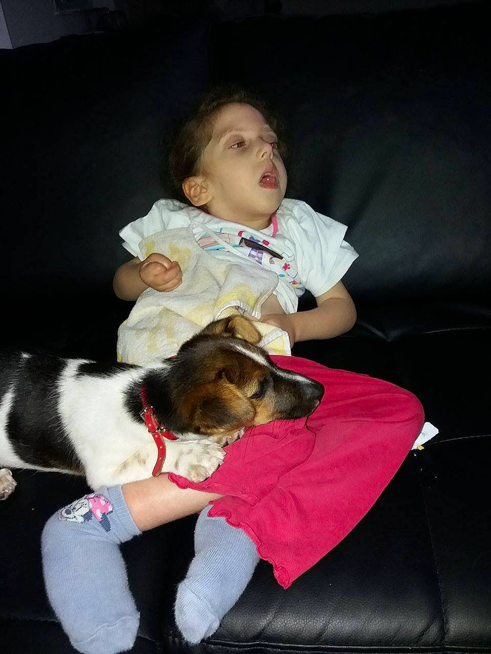 Pitou a rejoint le concours — aidez-le/la à gagner de superbes lots ! baby, canidae, child, fun, lap, pink, sitting, toddler, vacation