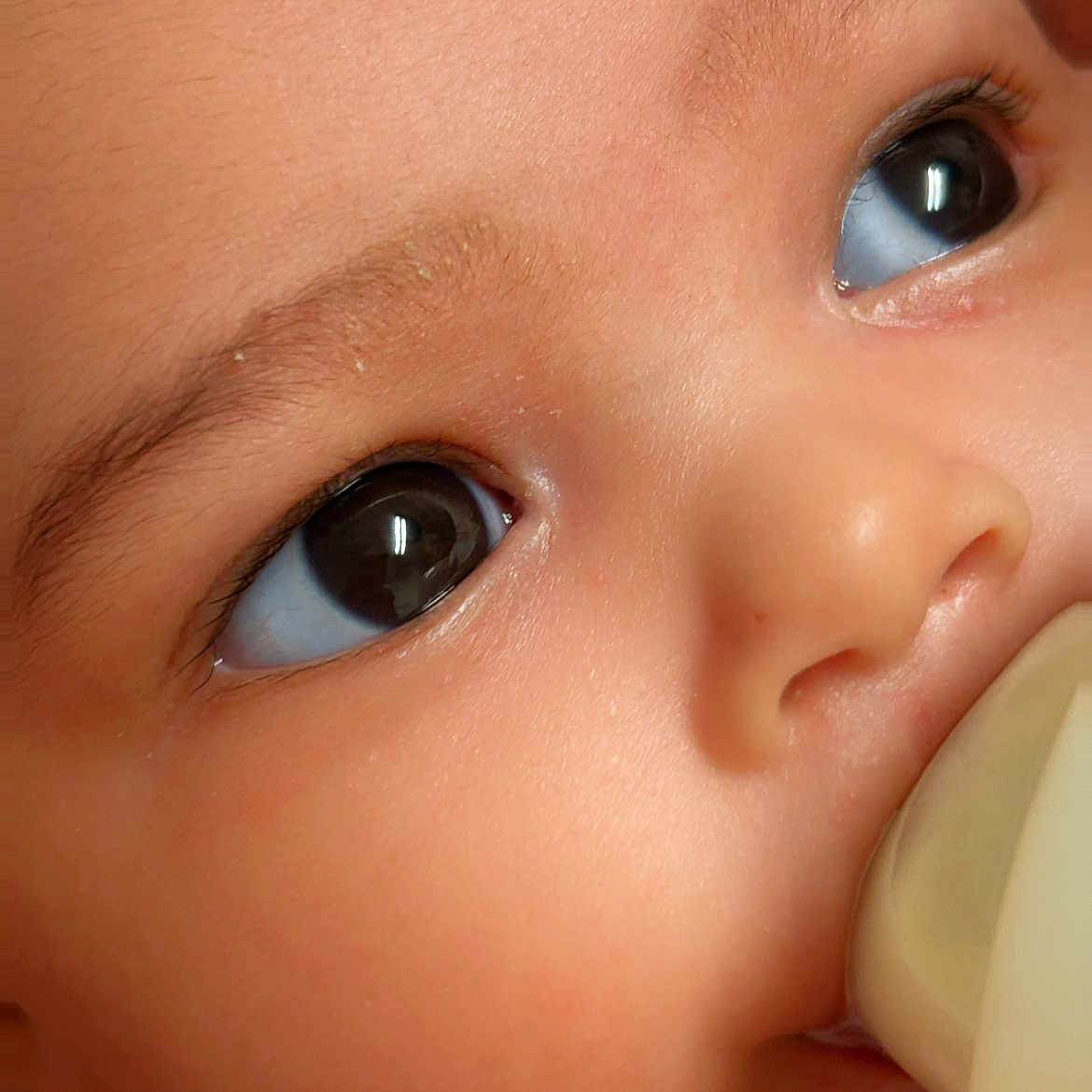 Harper is registered to the contest to win money with this photo: baby, beverage, biting, bodypart, dairy, ear, eating, face, finger, food, hand, head, milk, mouth, newborn, person, photography, portrait, skin, toy