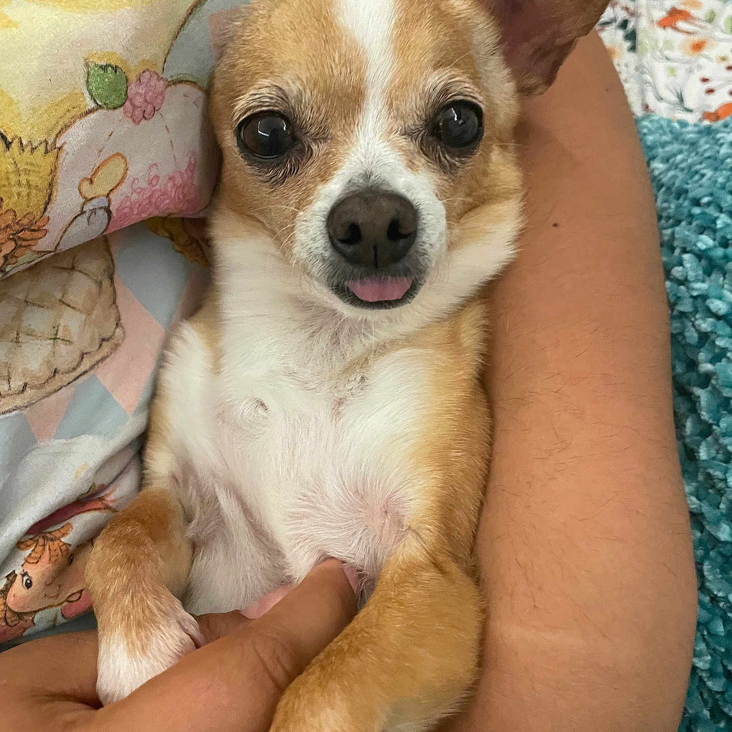 Chloe