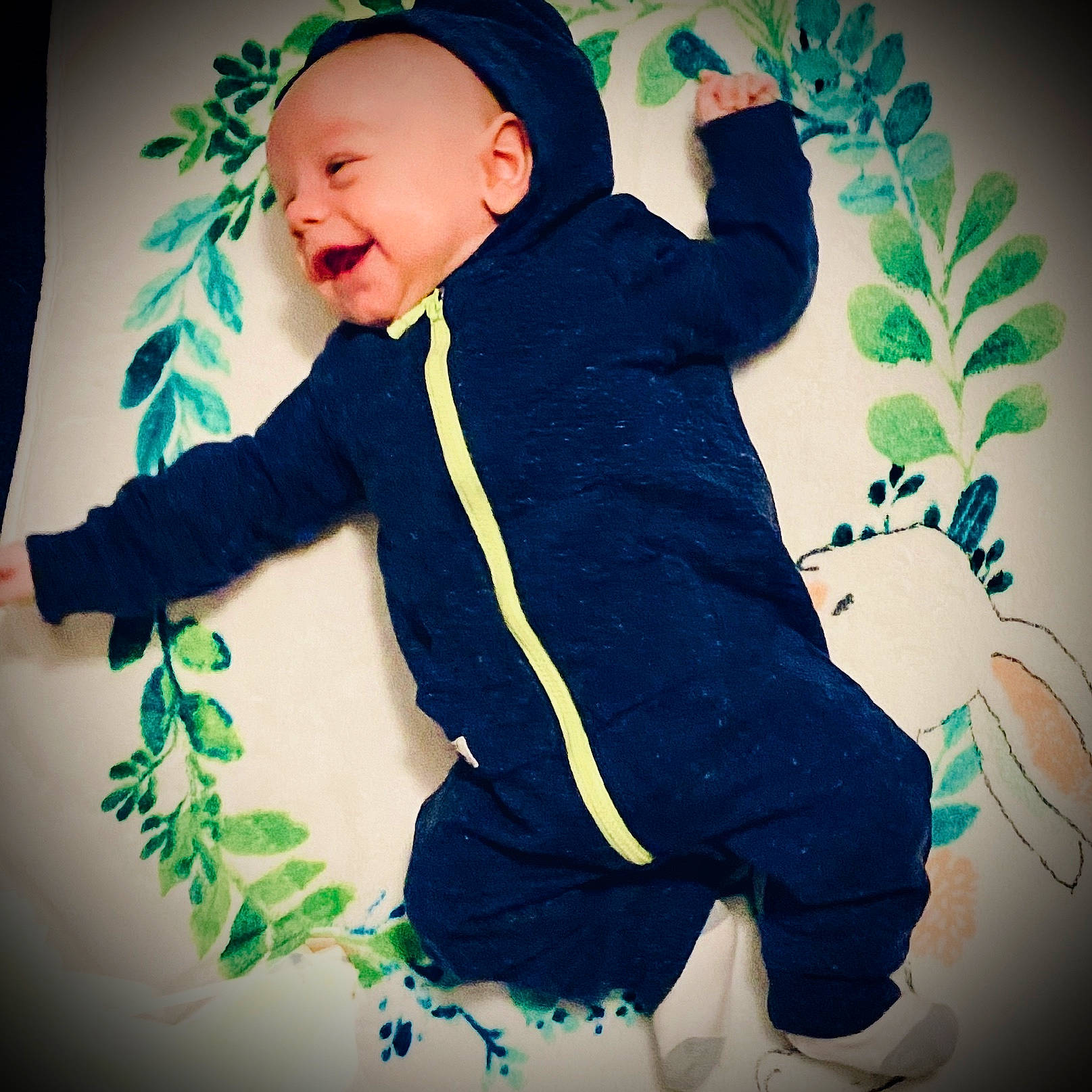 Cash is registered to the contest to win money with this photo: arm, baby, black_hair, blue, cheek, child, cool, happy, hoodie, jacket, leg, male, outerwear, person, photography, plant, sleeve, smile, t_shirt, toddler