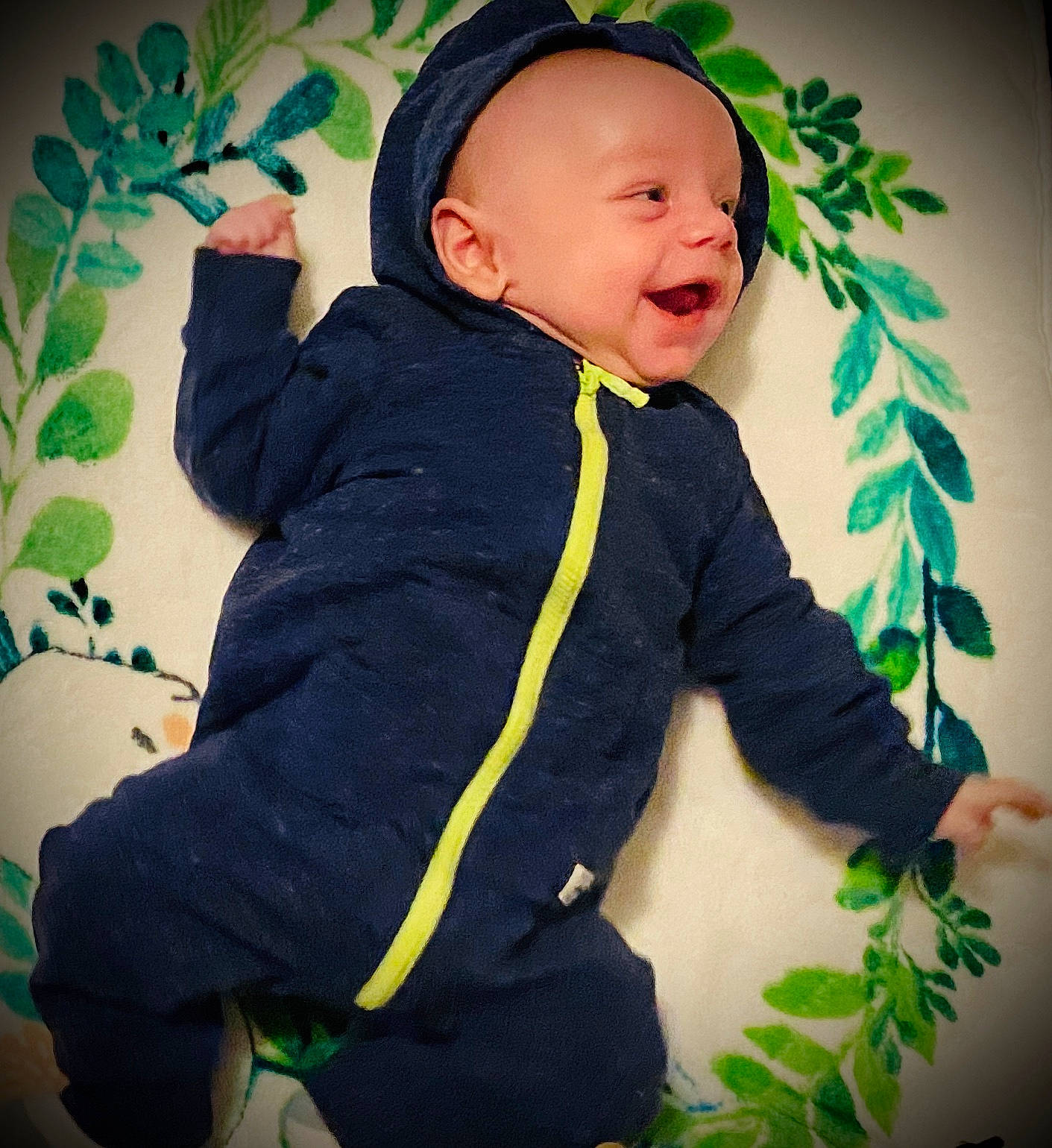 Cash is registered to the contest to win money with this photo: baby, cheek, child, finger, green, happy, head, hoodie, leaf, outerwear, person, plant, play, sleeve, smile, toddler