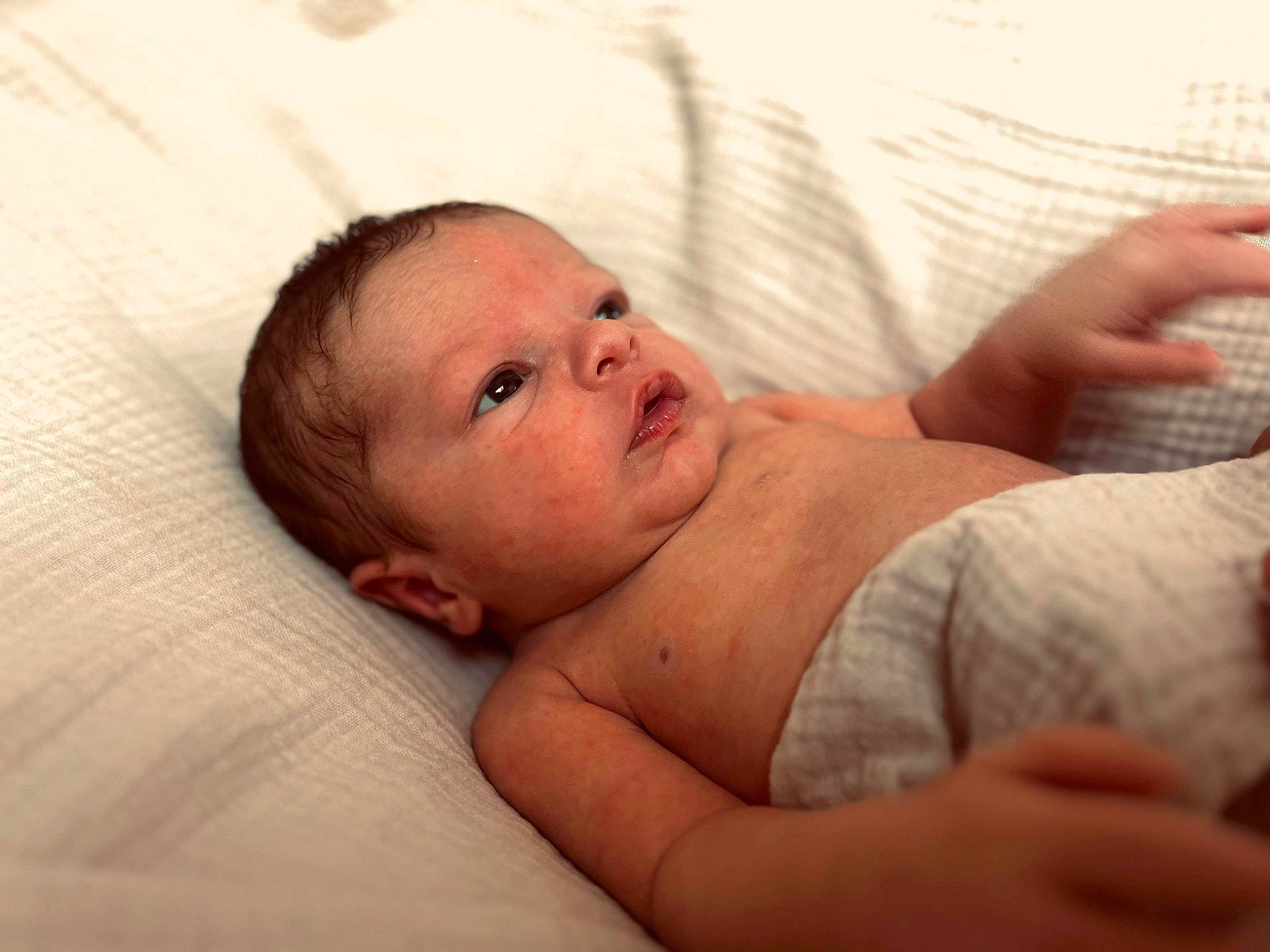 Lyo a rejoint le concours — aidez-le/la à gagner de superbes lots ! abdomen, baby, cheek, chest, comfort, elbow, eye, eyelash, finger, gesture, happy, head, linens, lip, mouth, neck, nose, person, stomach, thumb