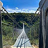 dog, bridge, suspension_bridge, forest, trees, sky, clouds, metal, chainlink_fence, nature, outdoor, sunlight, shadow, pathway, landscape, animal, pet, adventure, travel, daytime