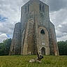 ancient, architecture, building, clouds, cloudy_sky, collar, dog, field, grass, greenery, historic, landscape, nature, outdoor, pet, ruins, sky, small_dog, stone, tower