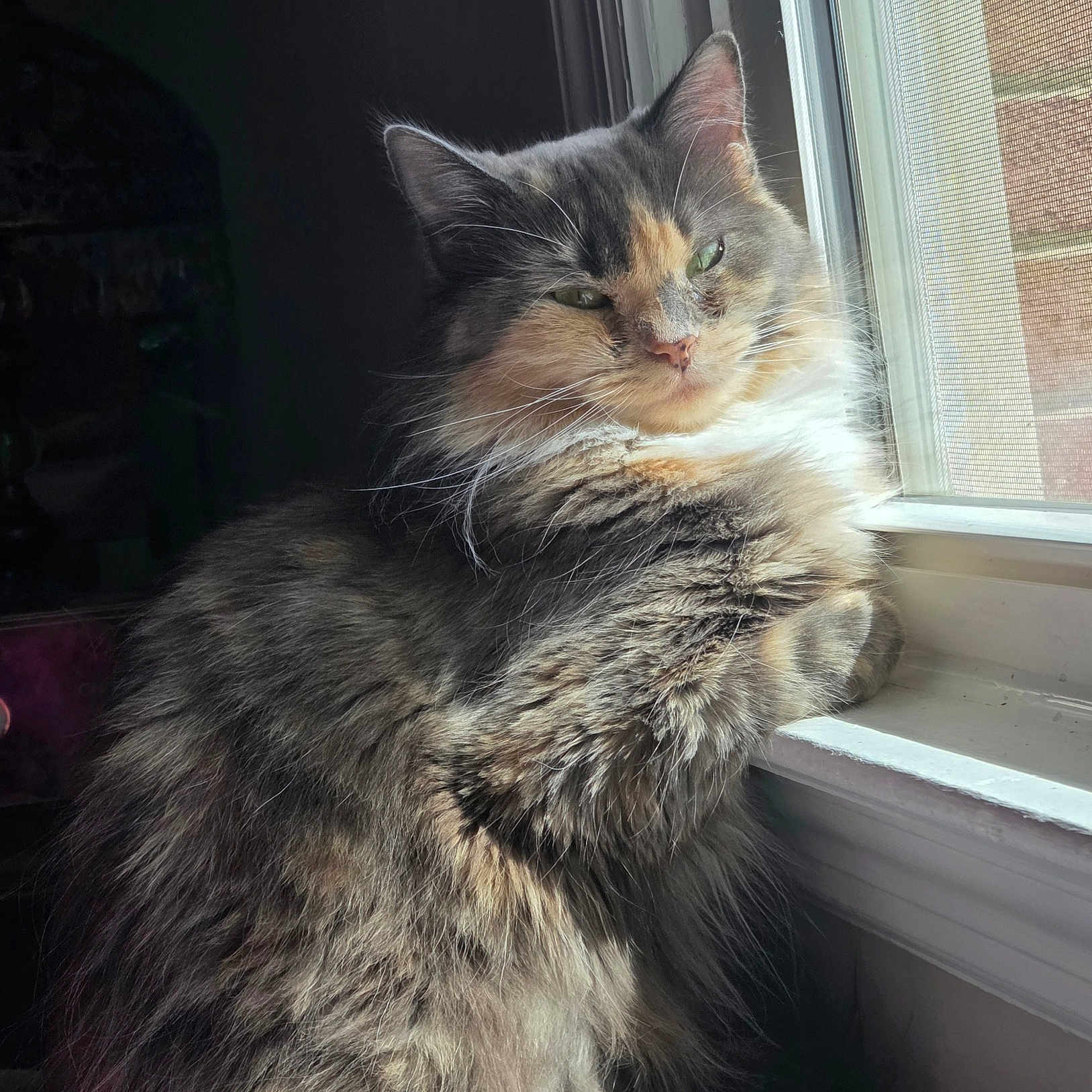 Pixie